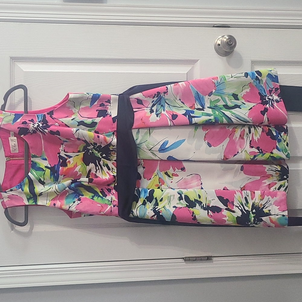 Eliza J size 10P dress